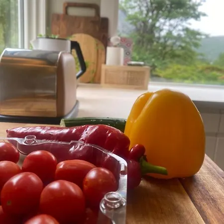 Gjestegard فندق مبيت وإفطار