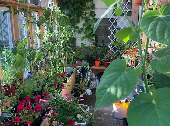 Oda ve Kahvaltı Gjestegard *