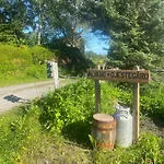 Bed and Breakfast Gjestegard *