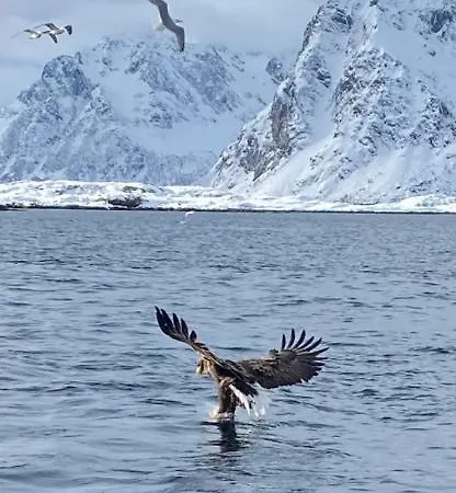 Bed and Breakfast Gjestegard *